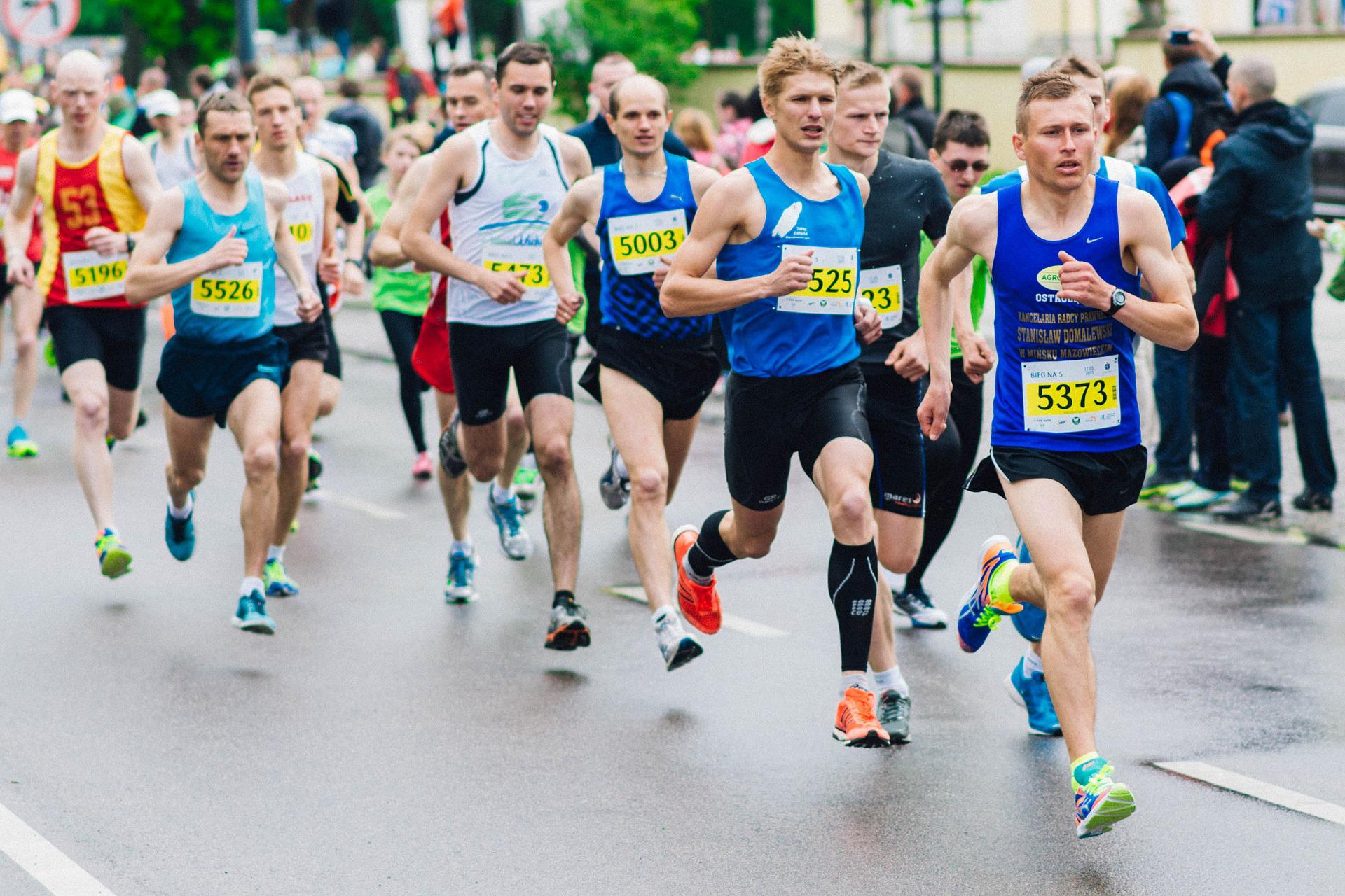 przygotowania do półmaratonu